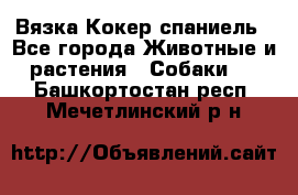 Вязка Кокер спаниель - Все города Животные и растения » Собаки   . Башкортостан респ.,Мечетлинский р-н